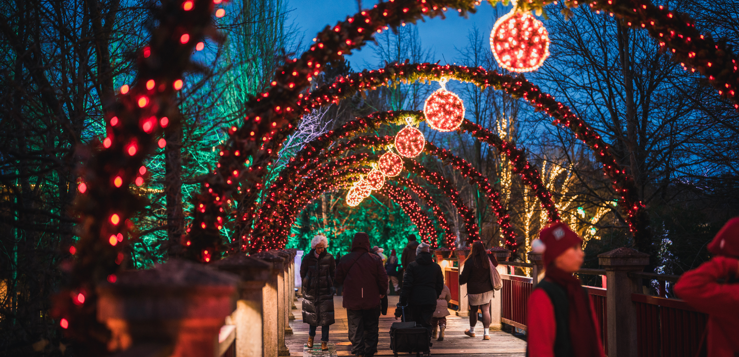 Lysende buer henover bro i Odense ZOO