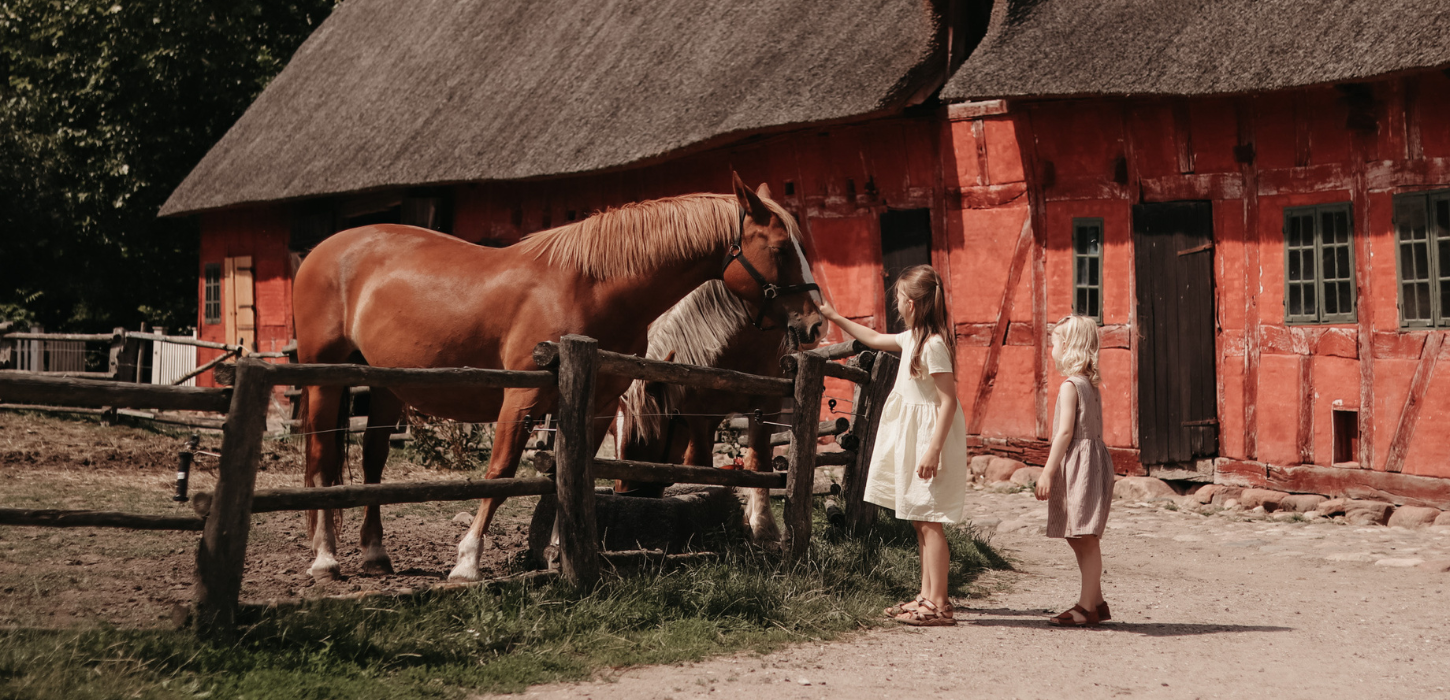 To piger iklædt lyse sommerkjoler står ved en indhegning, hvori der står en brun hest, som den ene klapper, med et rødt bindingsværk i baggrunden. 