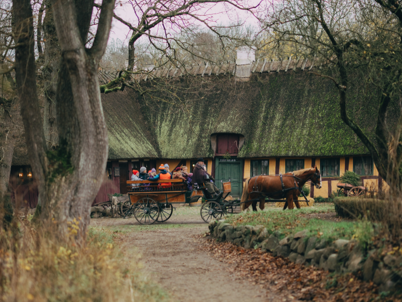 En familie kører i en gammeldags hestevogn igennem en gammeldags landsby om efteråret