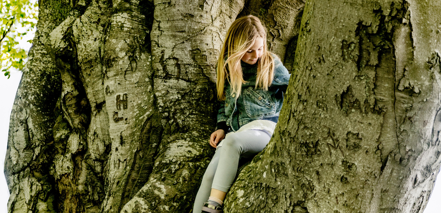 Et pigebarn med lyst hår sidder oppe i et stort, delt træ med grønne blade i baggrunden